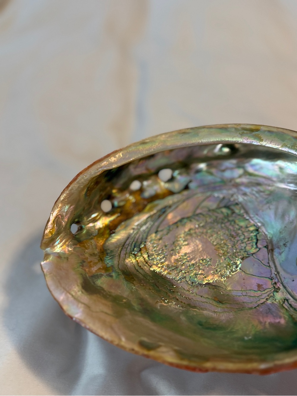 Large Vintage Red Abalone Seashell Mother of Pearl Shell 6" X 8" TRINKET DISH - Picture 3 of 8